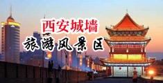 夜夜视频永久在线日日中国陕西-西安城墙旅游风景区